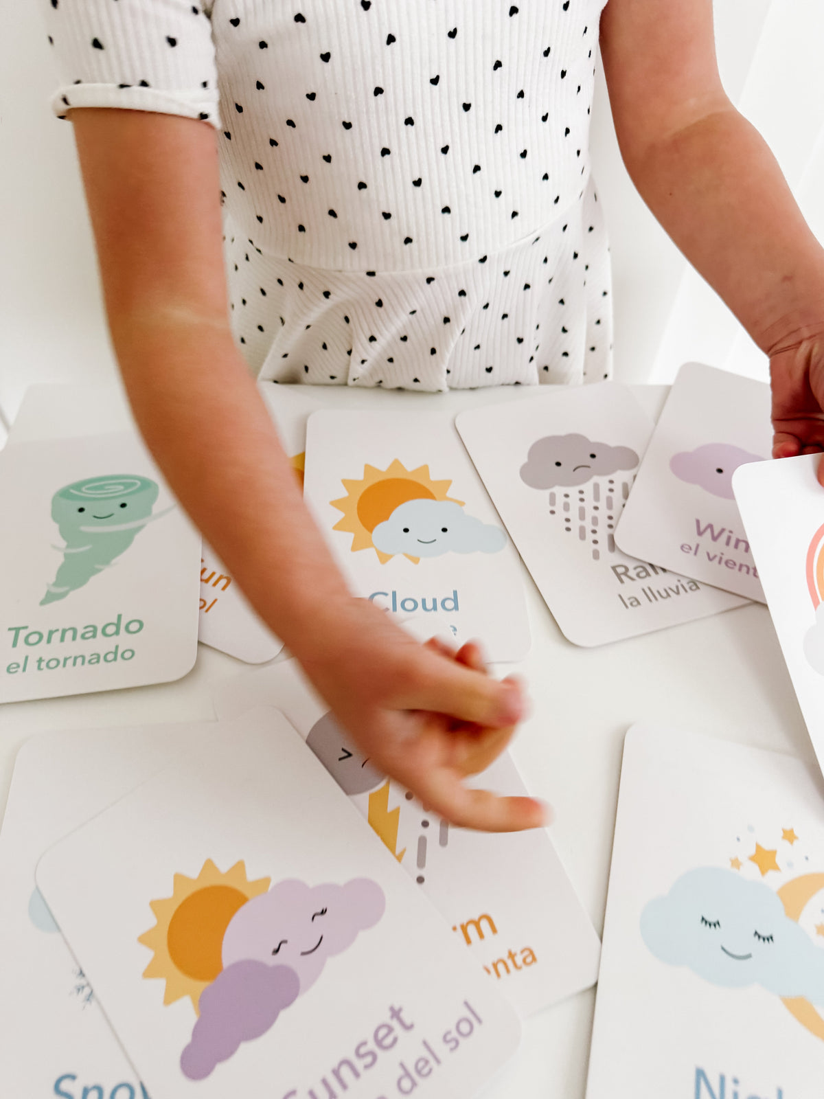 Weather Flashcards - The Baby Penguin