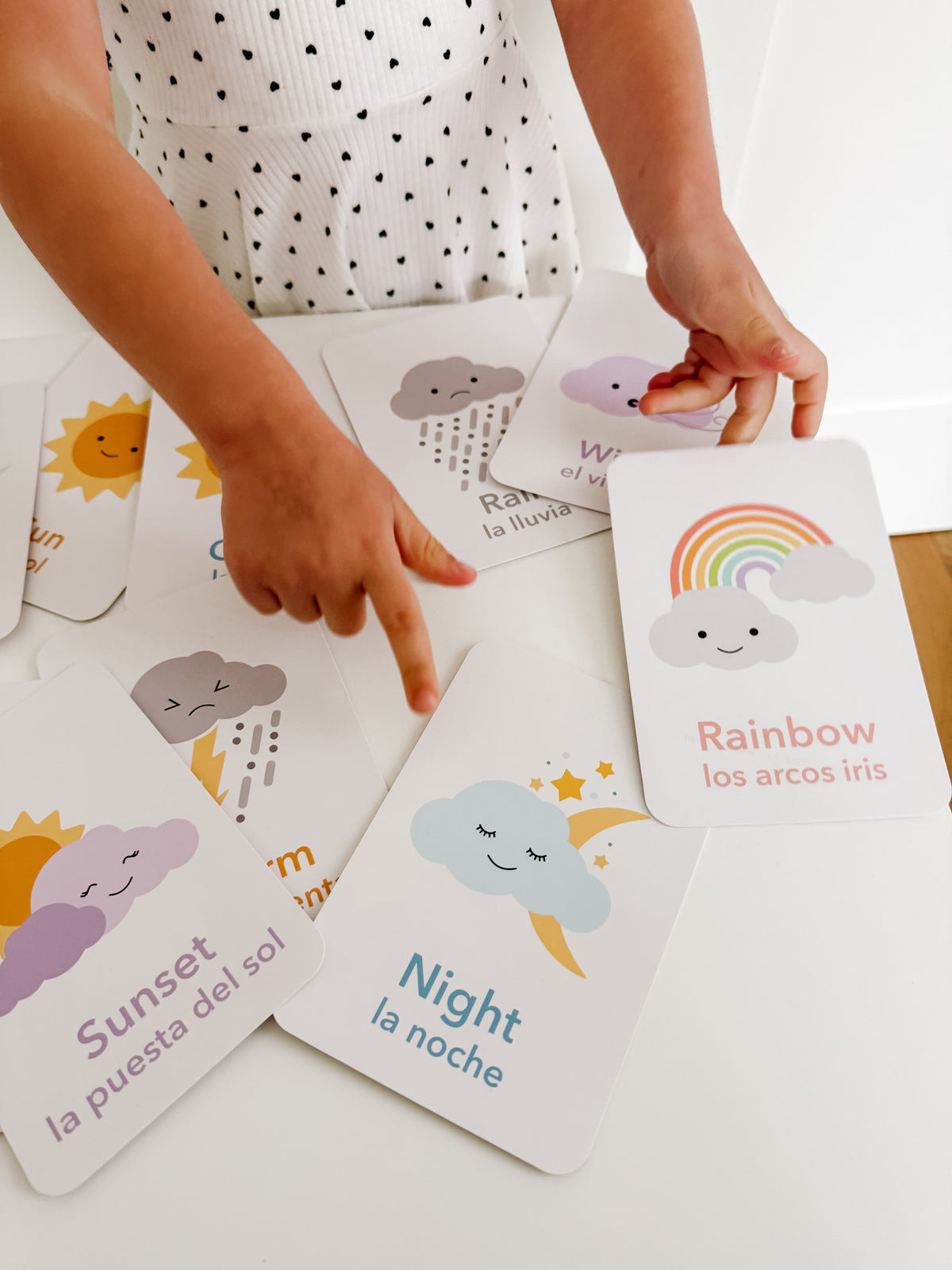 Weather Flashcards - The Baby Penguin