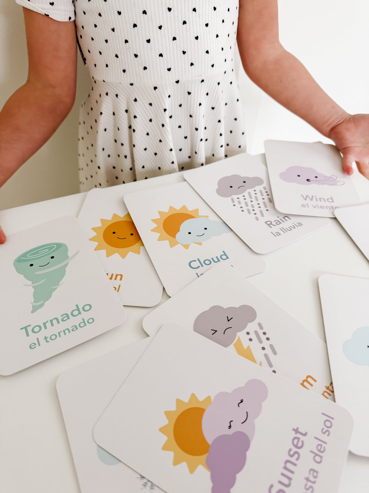 Weather Flashcards - The Baby Penguin