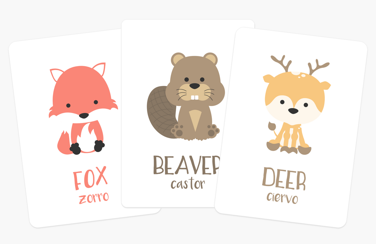 Woodland Animal Flashcards - The Baby Penguin