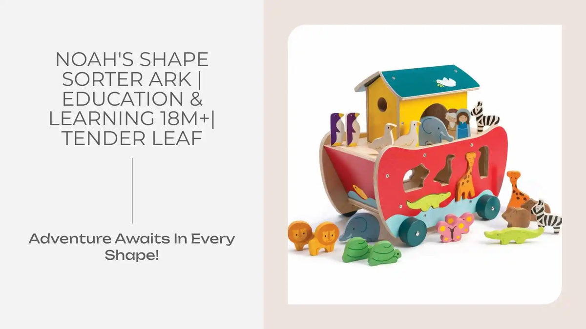 Noah's Shape Sorter Ark | Education & Learning 18m+| Tender Leaf by@Outfy