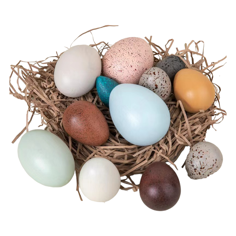 12-piece wooden bird egg set in a nest