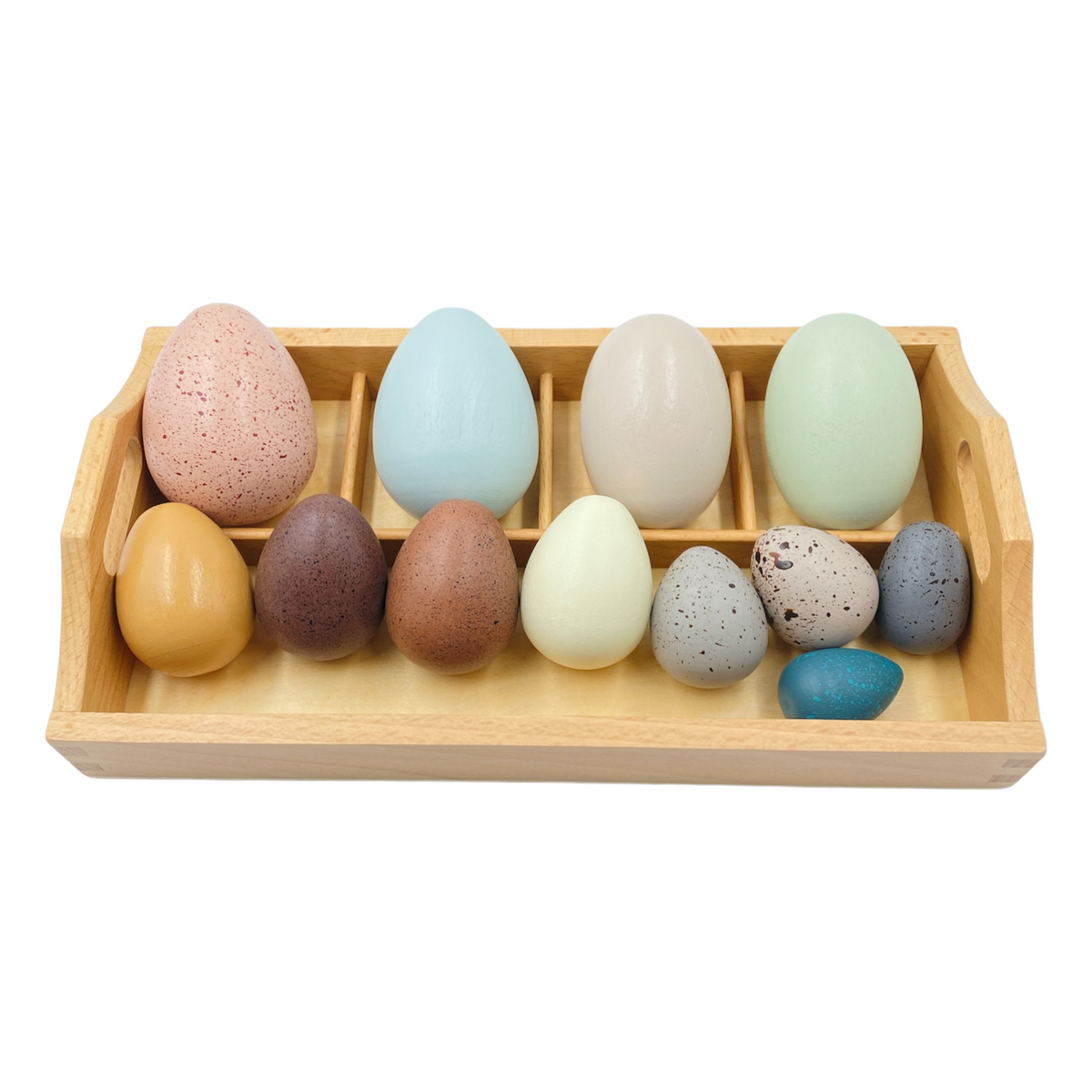 Wooden bird egg set in a sorting tray