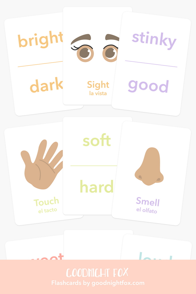 5 Senses Flashcards - Enhance Learning Through Play - The Baby Penguin