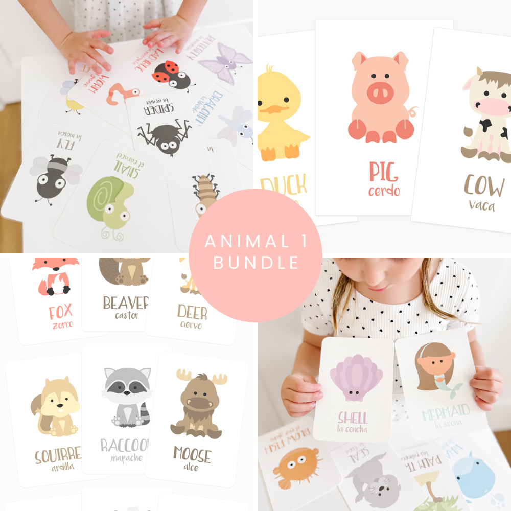 Animal 1 Flashcards Bundle - The Baby Penguin