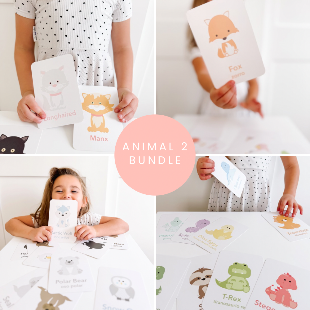 Animal 2 Flashcards Bundle - The Baby Penguin