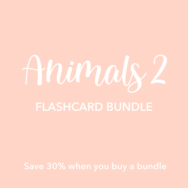 Animal 2 Flashcards Bundle - The Baby Penguin
