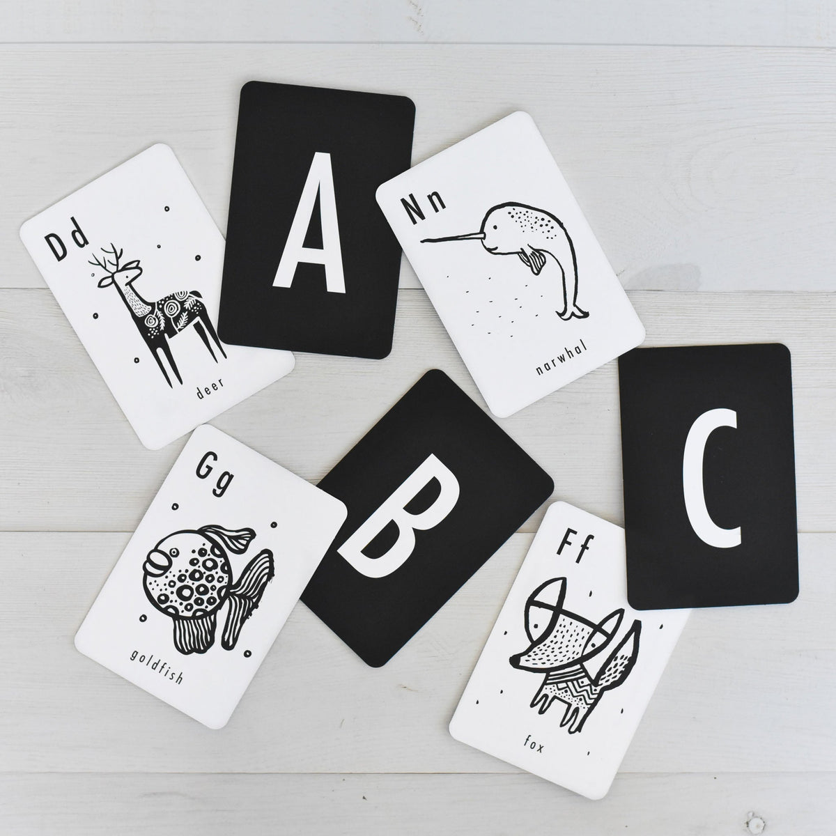 Animal Alphabet Cards - The Baby Penguin