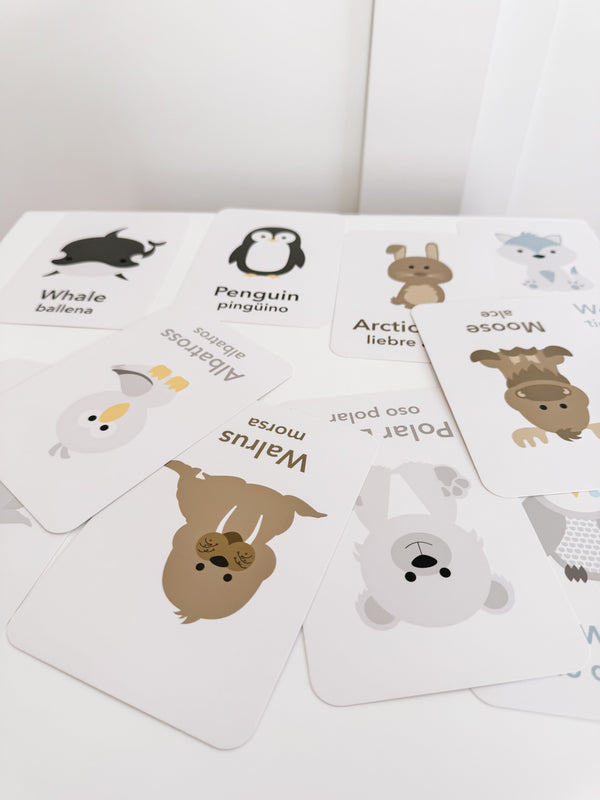 Arctic Animals Flashcards - The Baby Penguin