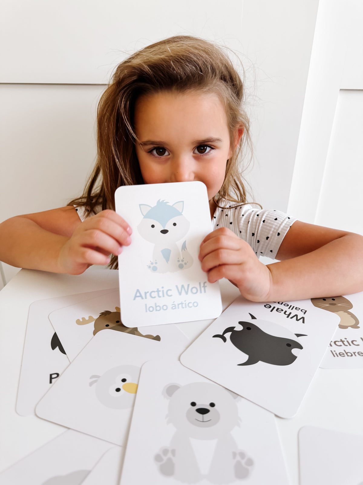 Arctic Animals Flashcards - The Baby Penguin