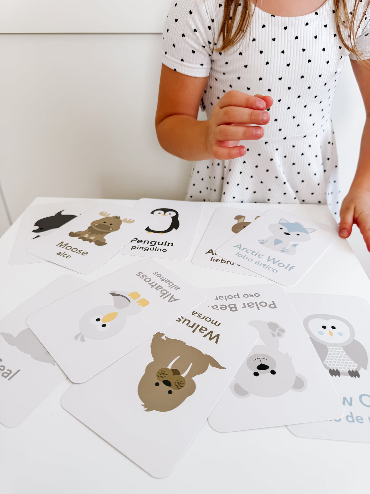 Arctic Animals Flashcards - The Baby Penguin