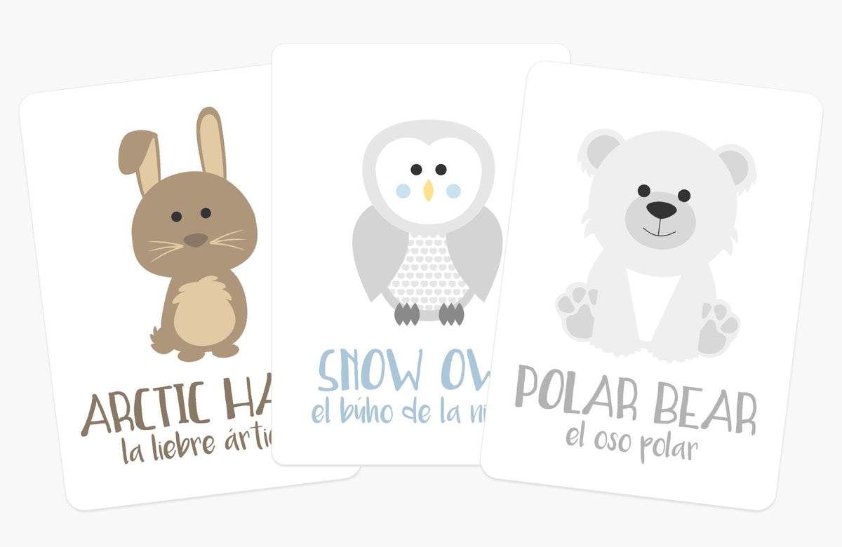 Arctic Animals Flashcards - The Baby Penguin
