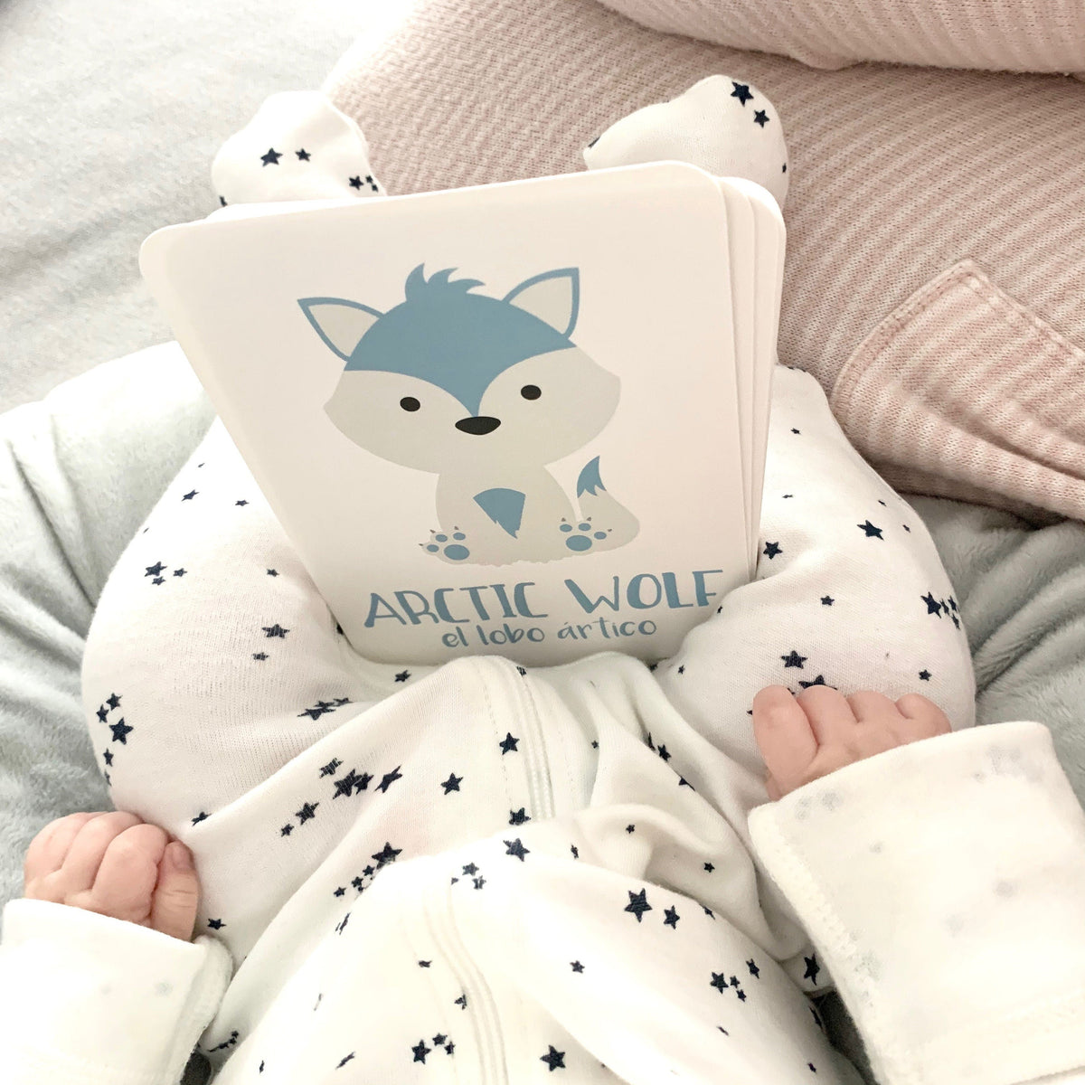 Arctic Animals Flashcards - The Baby Penguin