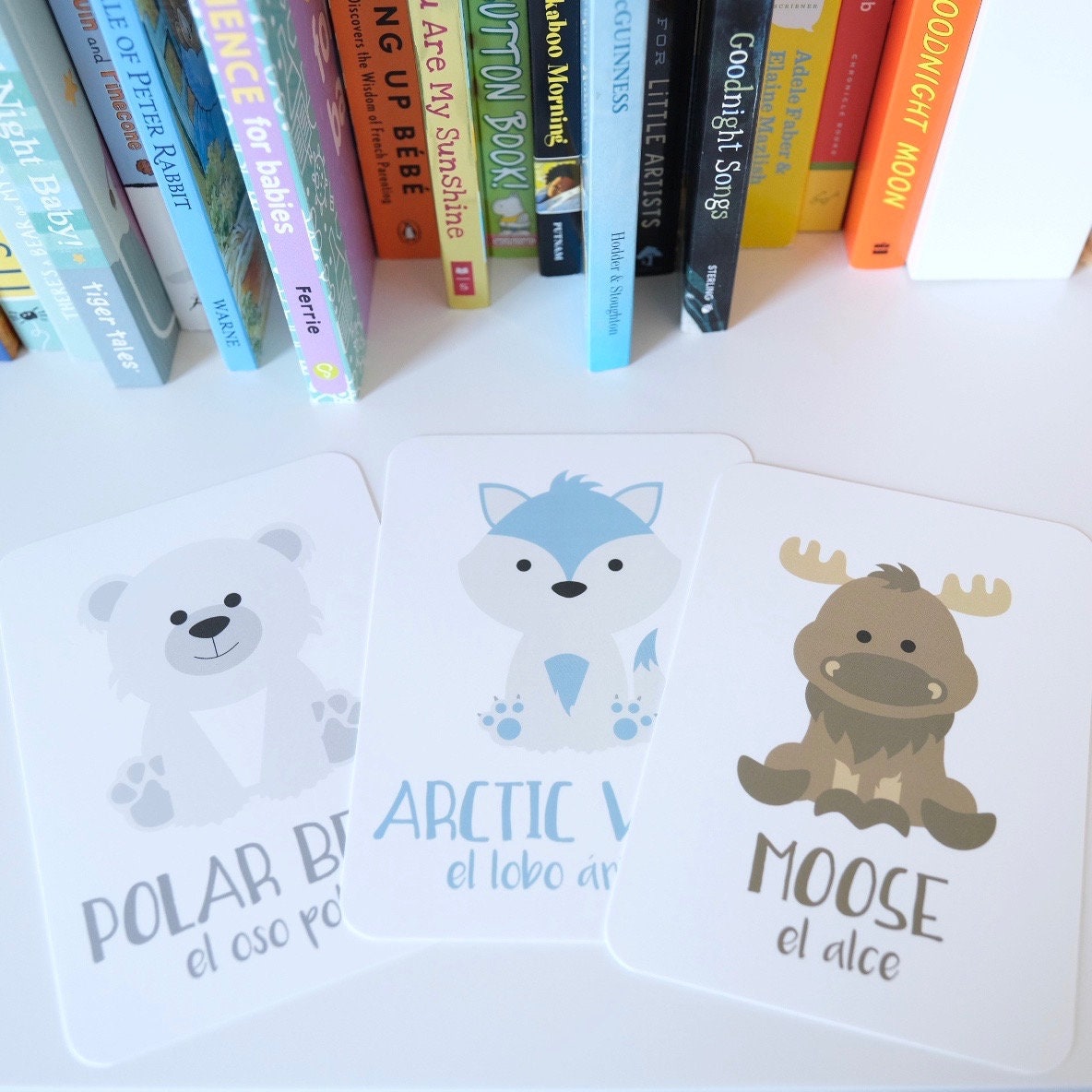 Arctic Animals Flashcards - The Baby Penguin