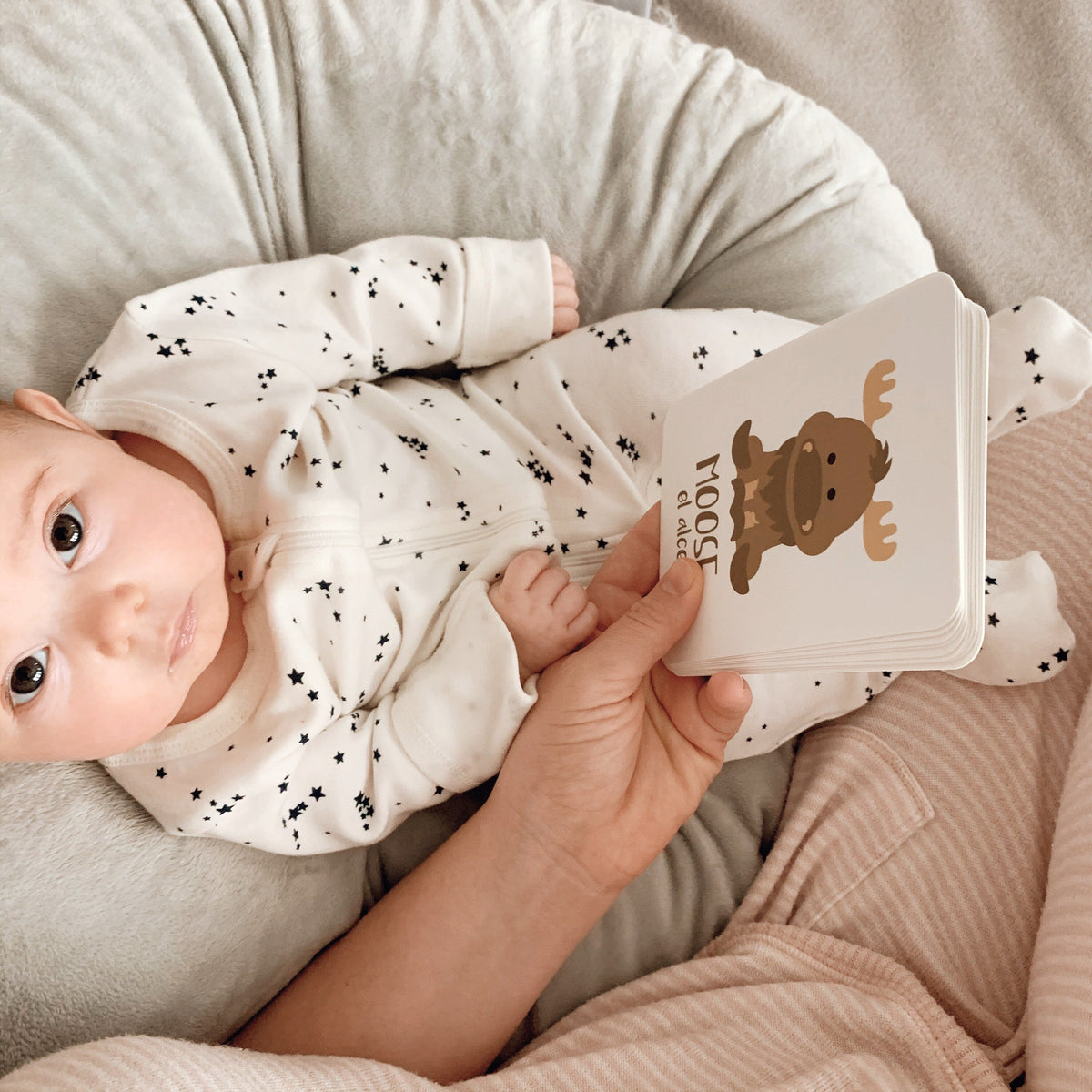 Arctic Animals Flashcards - The Baby Penguin