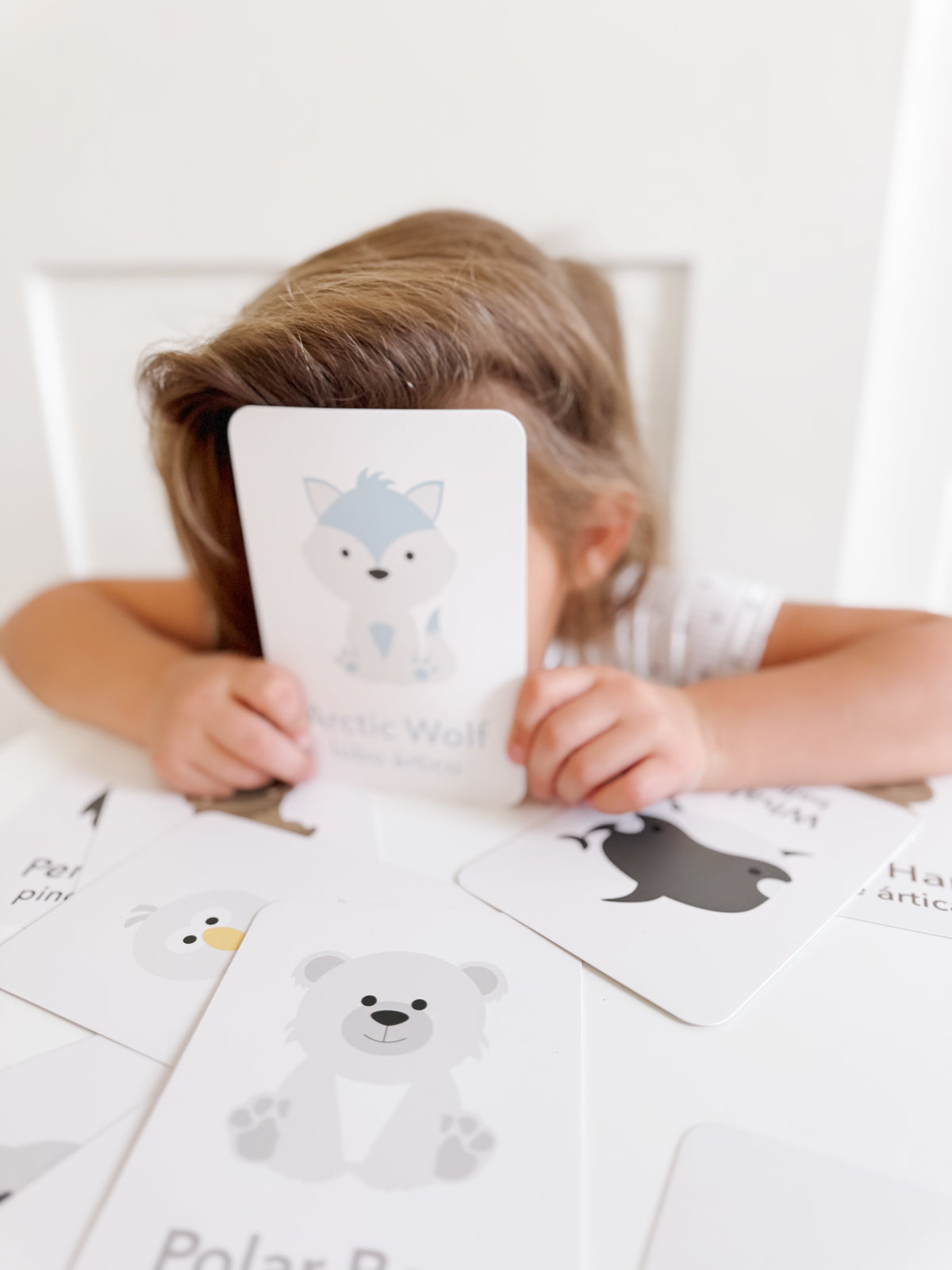 Arctic Animals Flashcards - The Baby Penguin