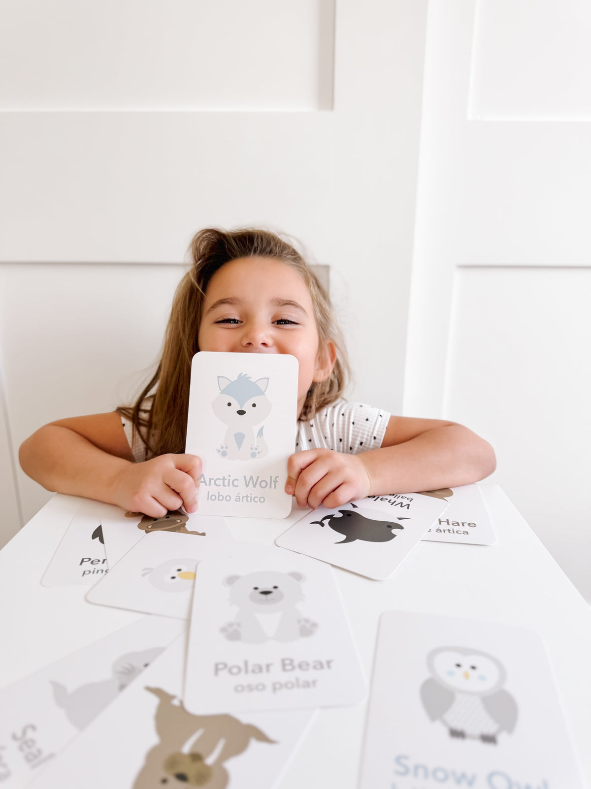 Arctic Animals Flashcards - The Baby Penguin