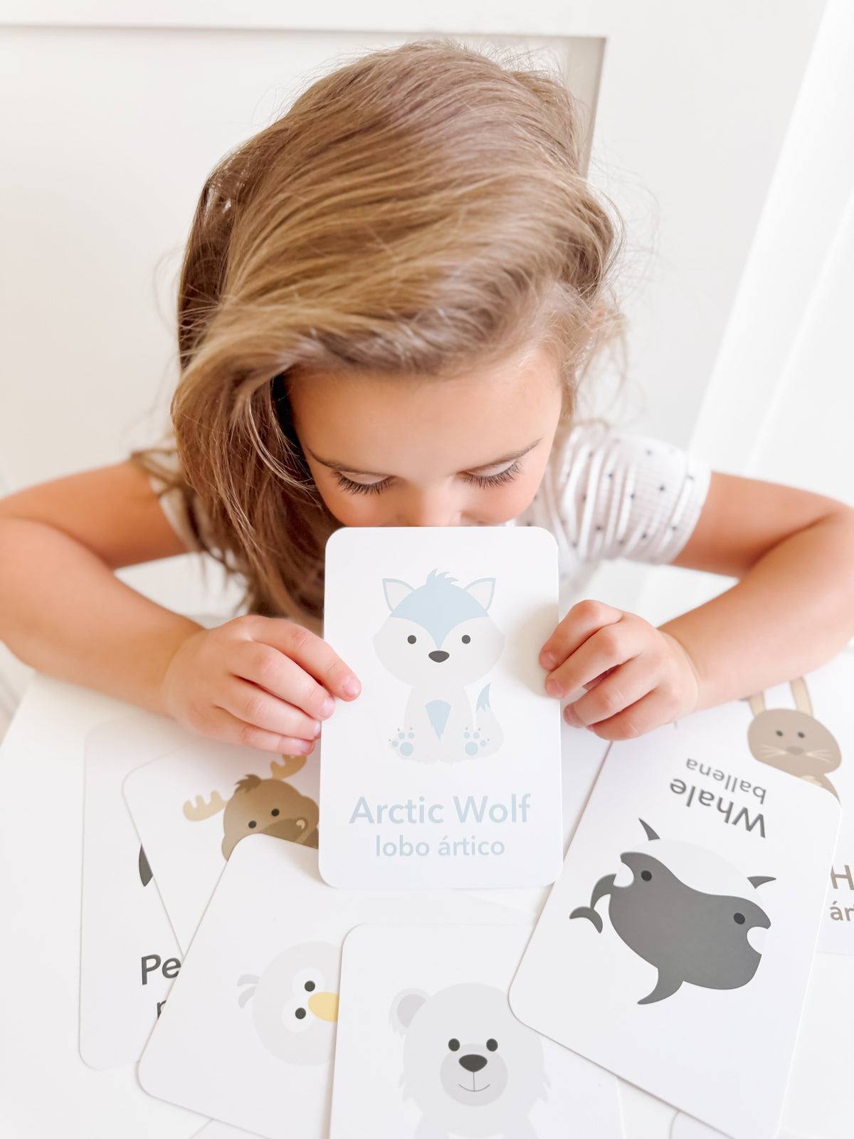 Arctic Animals Flashcards - The Baby Penguin