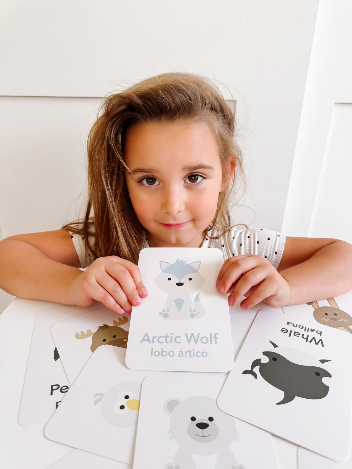 Arctic Animals Flashcards - The Baby Penguin