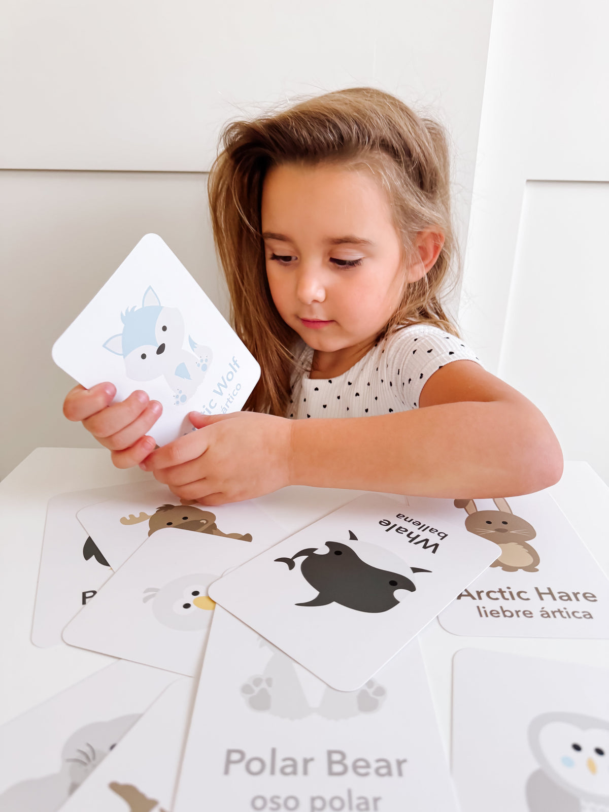 Arctic Animals Flashcards - The Baby Penguin
