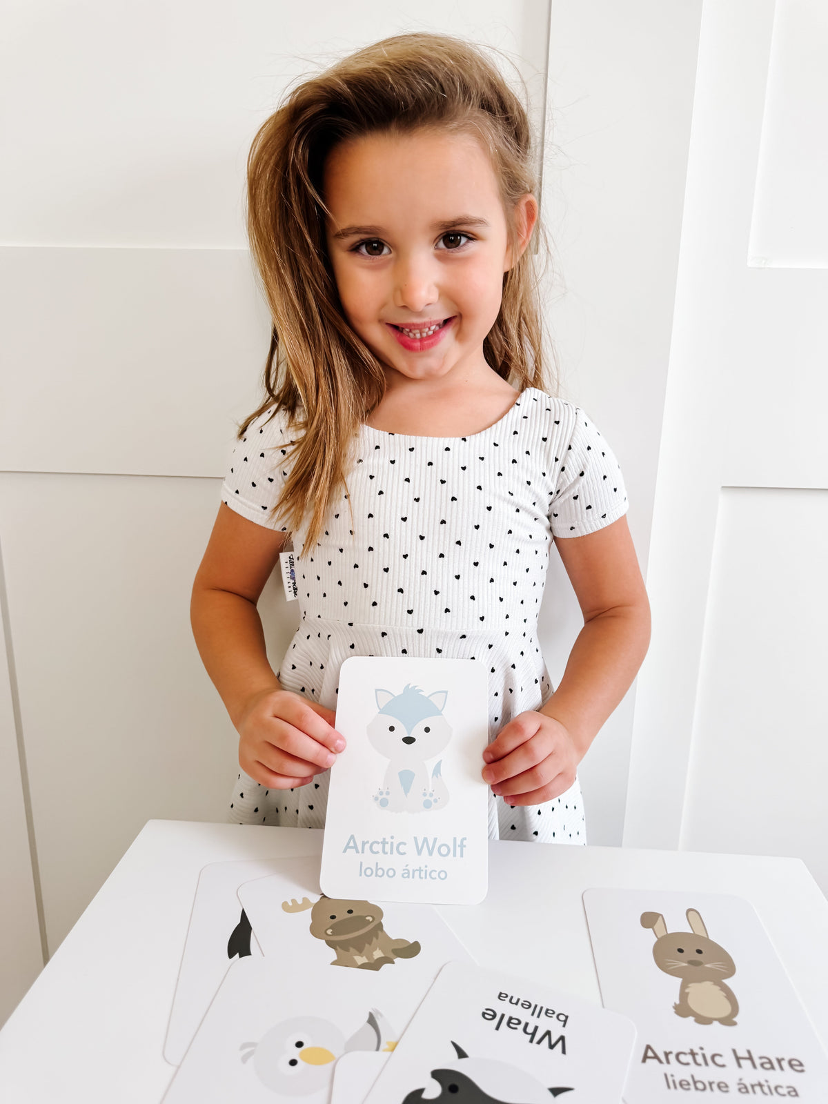 Arctic Animals Flashcards - The Baby Penguin