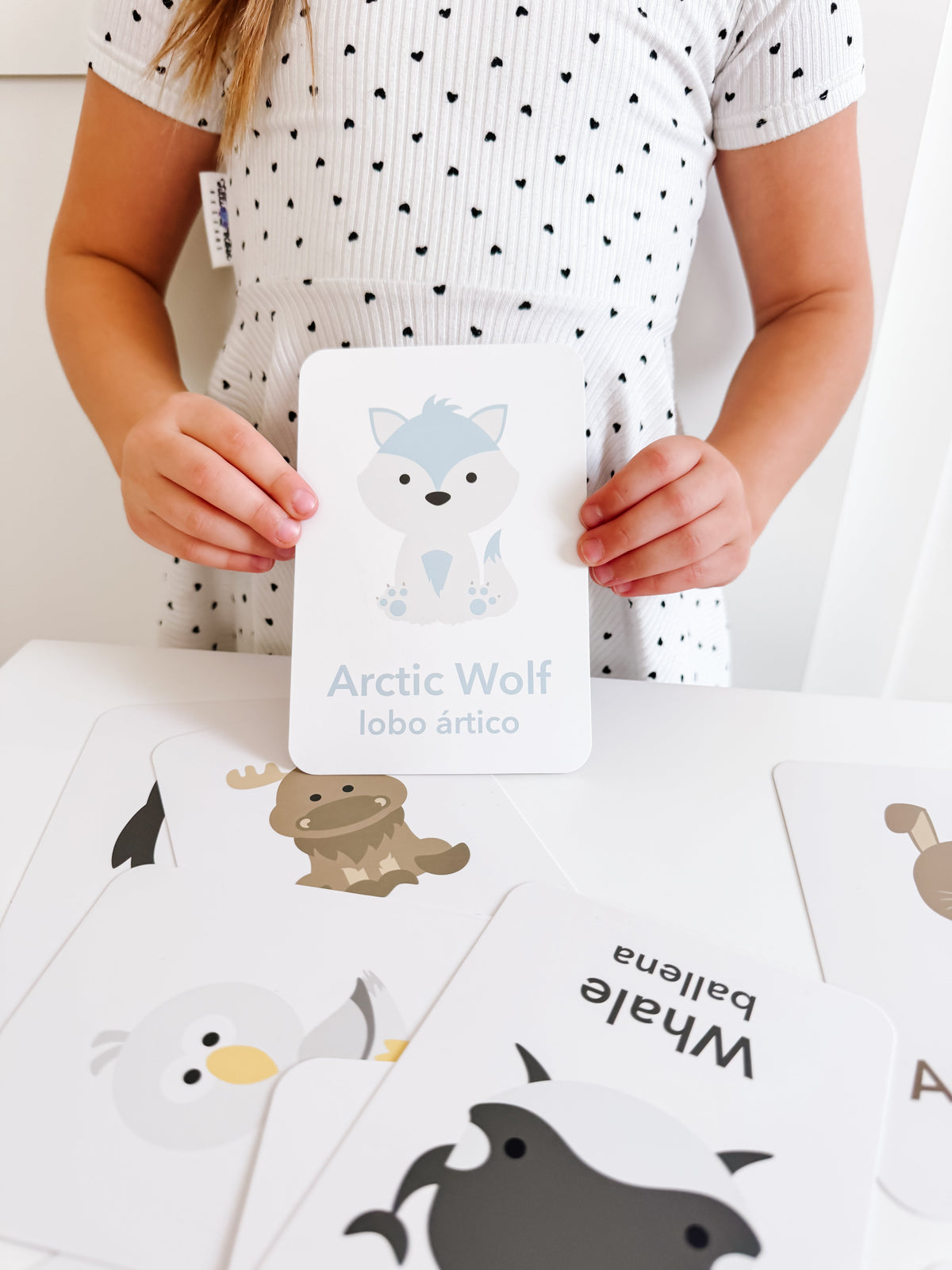 Arctic Animals Flashcards - The Baby Penguin