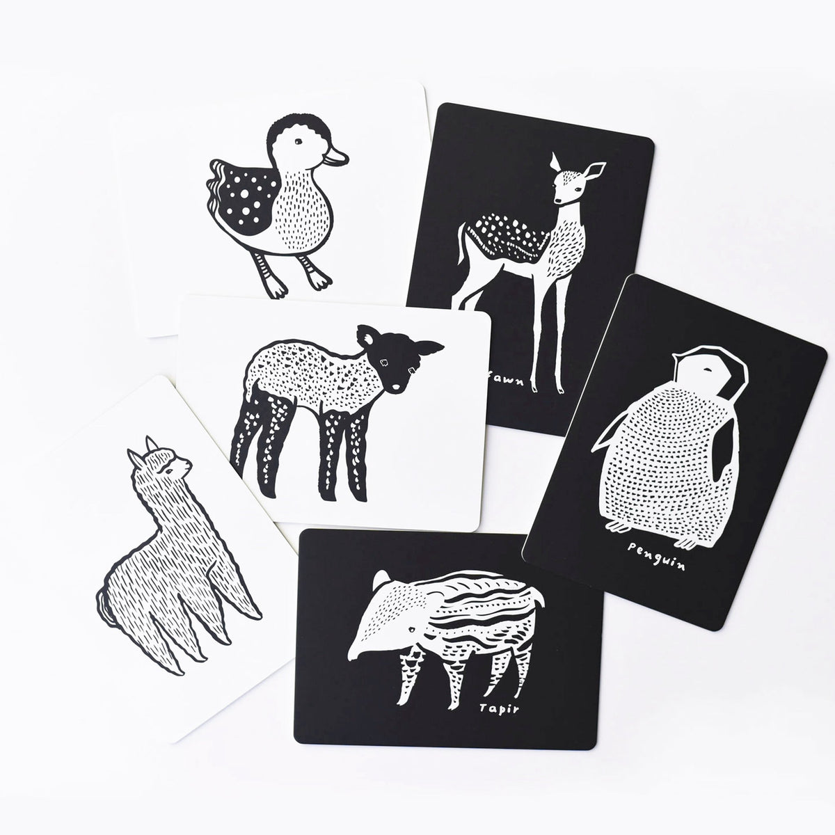 Art Cards for Baby - Baby Animals Collection - The Baby Penguin