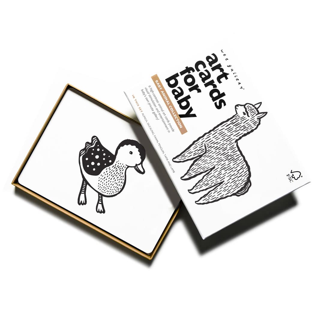 Art Cards for Baby - Baby Animals Collection - The Baby Penguin
