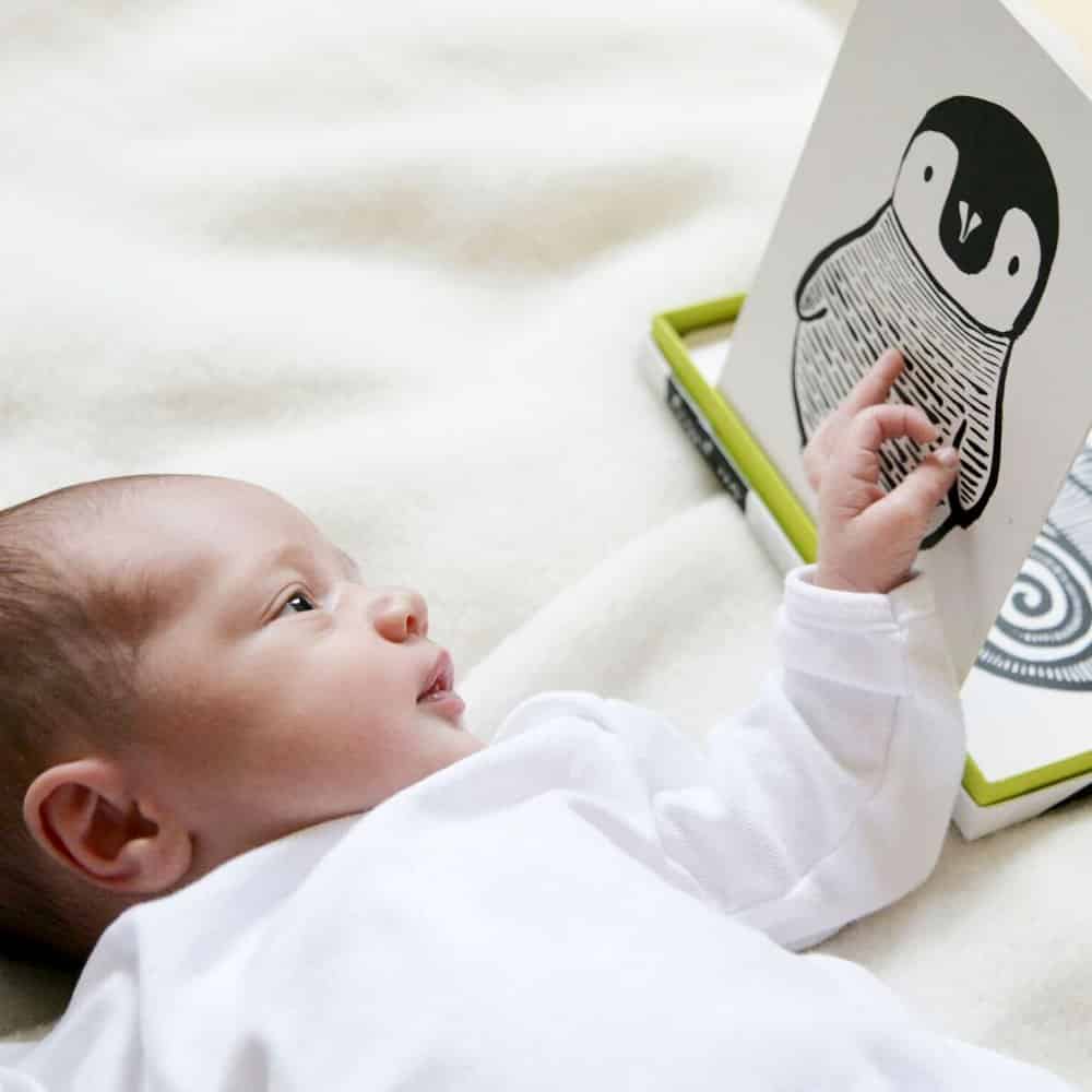 Art Cards for Baby - Jungle Collection - The Baby Penguin