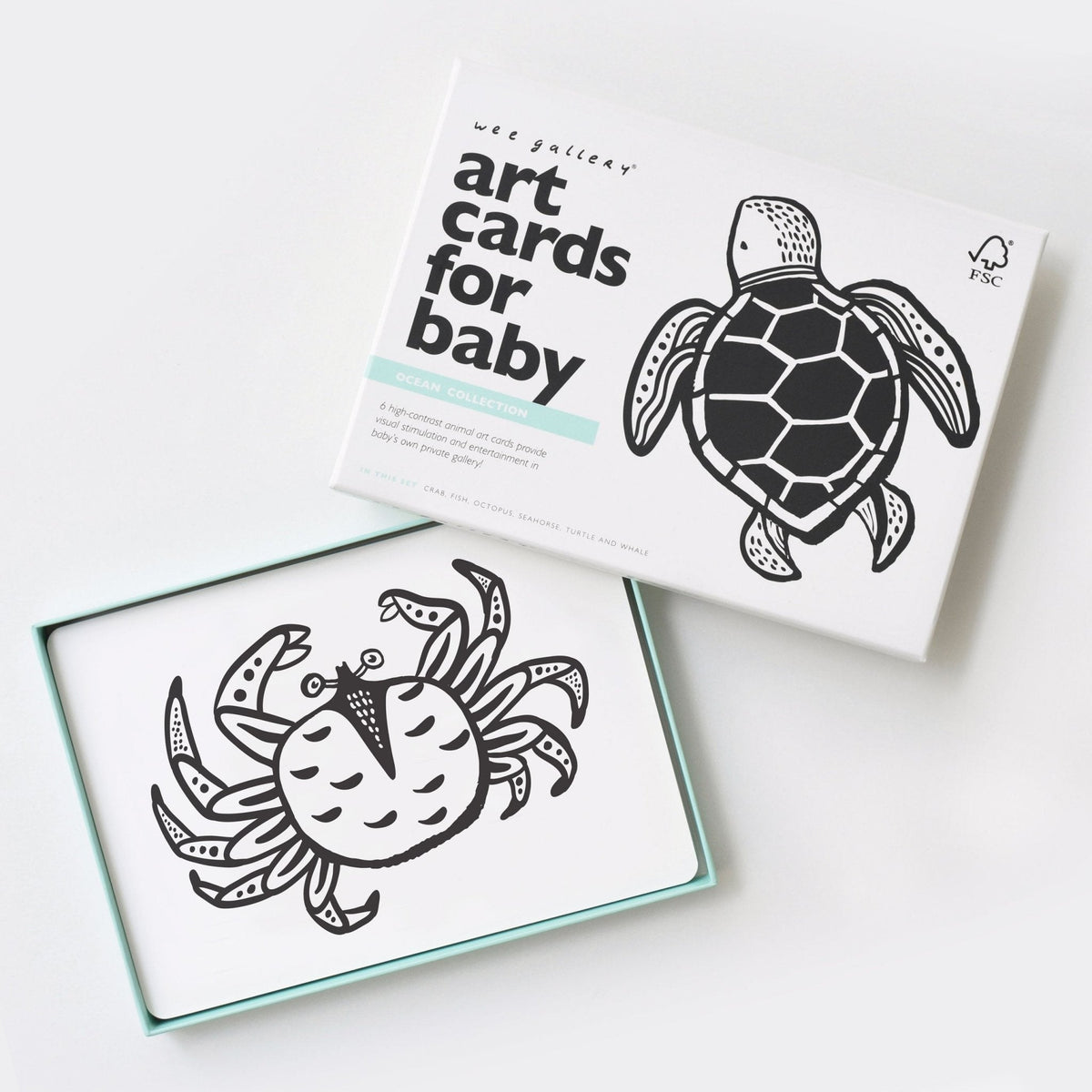 Art Cards for Baby - Ocean Collection - The Baby Penguin