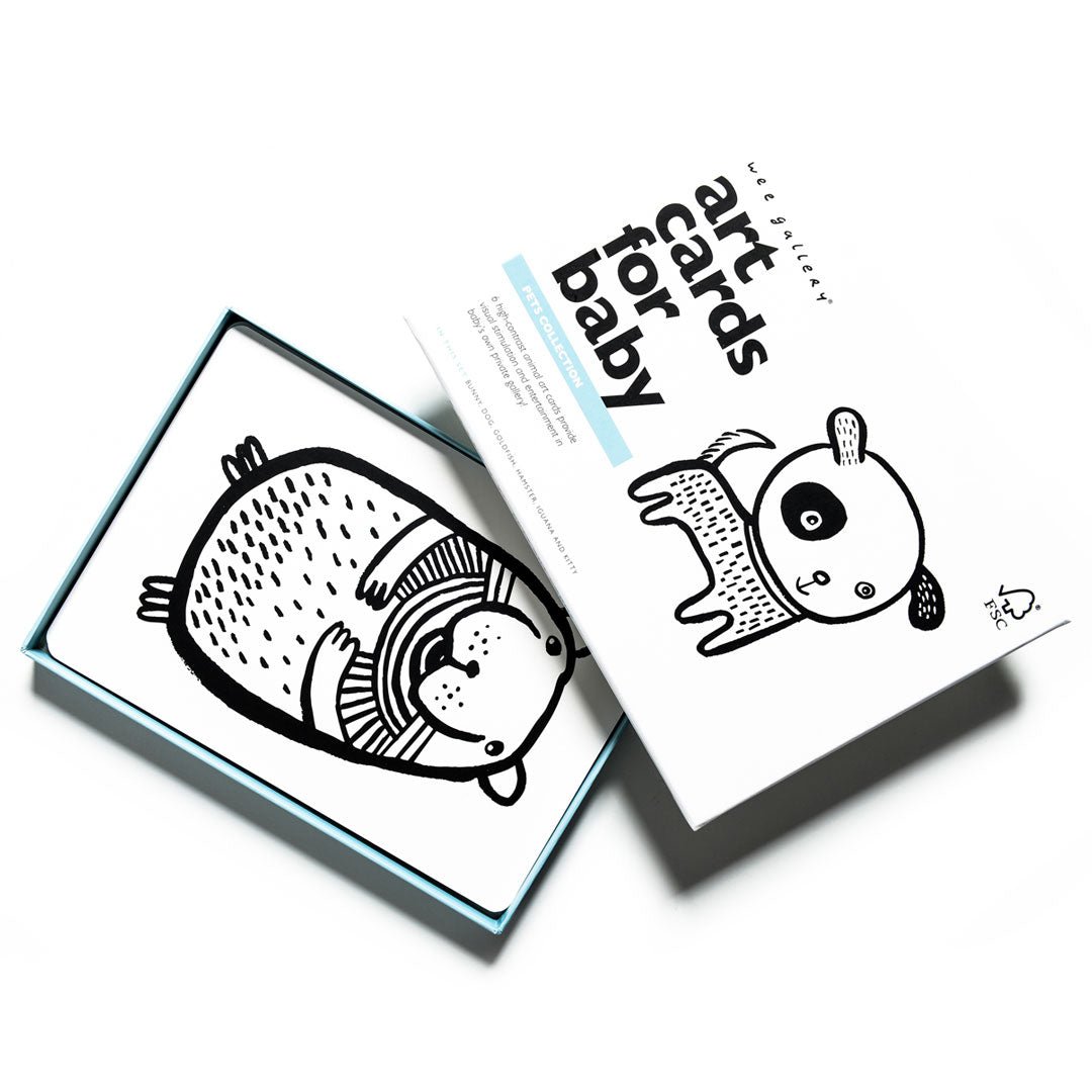 Art Cards for Baby - Pets Collection - The Baby Penguin
