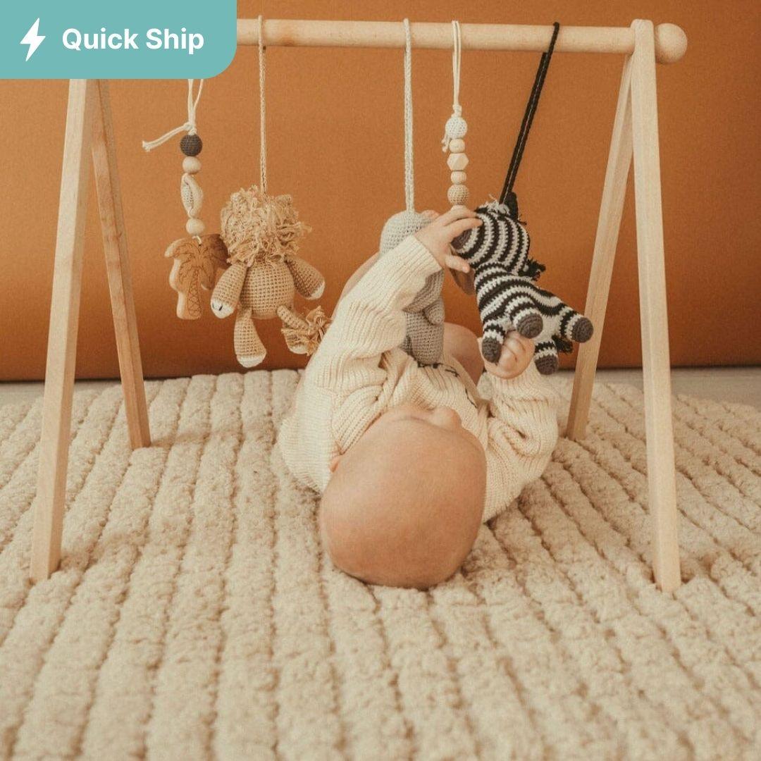 Baby Activity Gym & Crochet Toys - The Baby Penguin