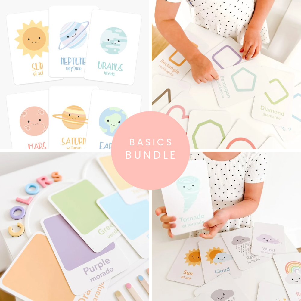 Basics Flashcards Bundle - The Baby Penguin