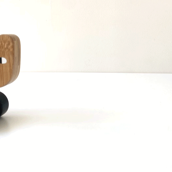 Bear Push Toy - The Baby Penguin