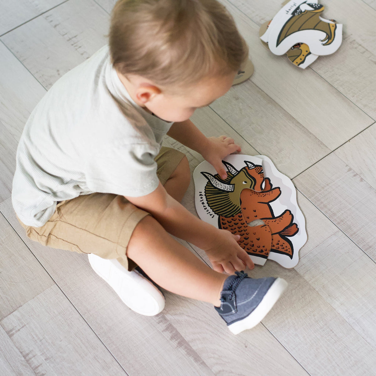 Beginner Puzzles - Dinos - The Baby Penguin