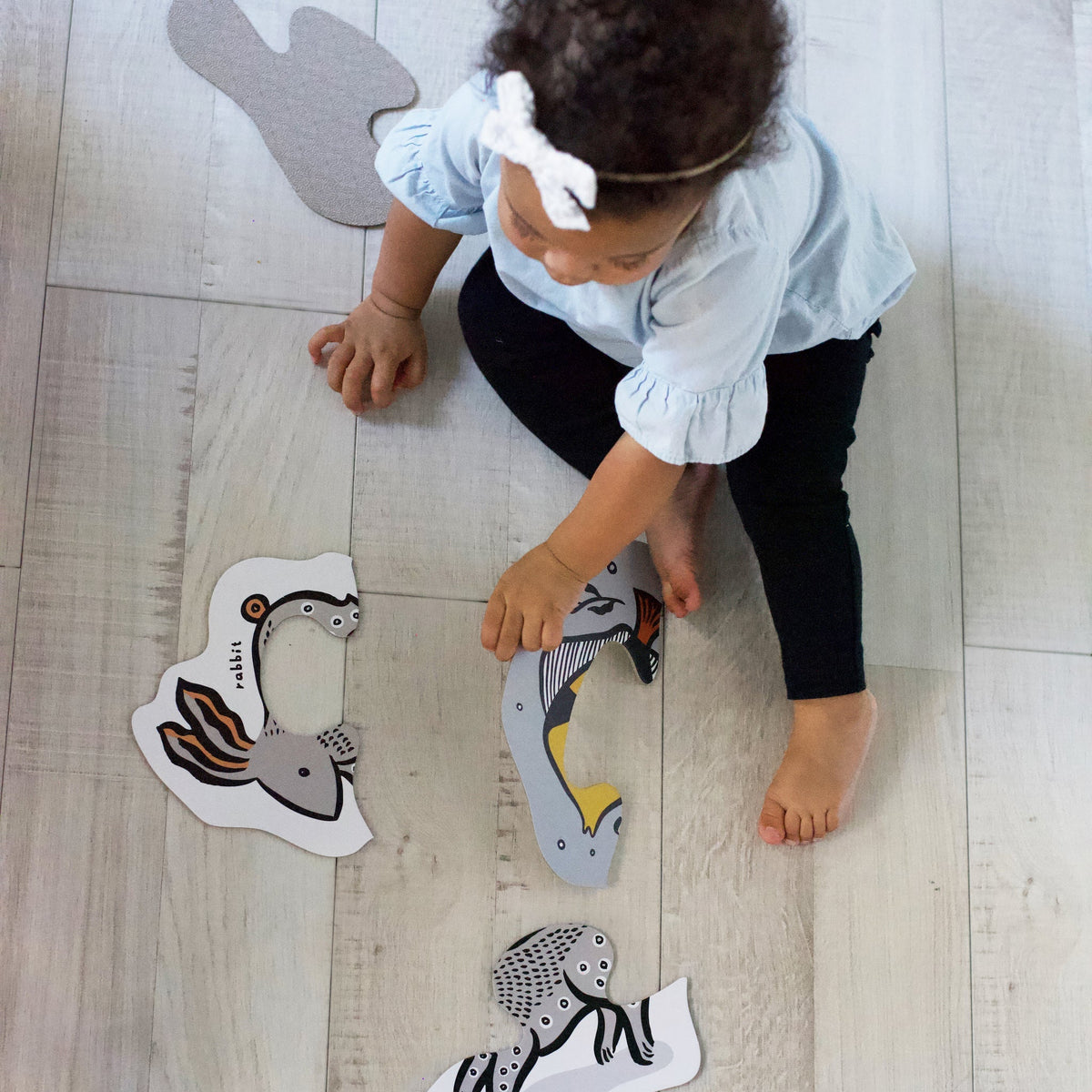 Beginner Puzzles - Pets - The Baby Penguin