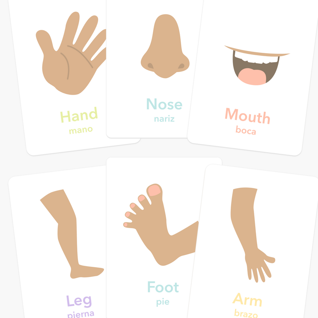 Body Parts Flashcards - The Baby Penguin
