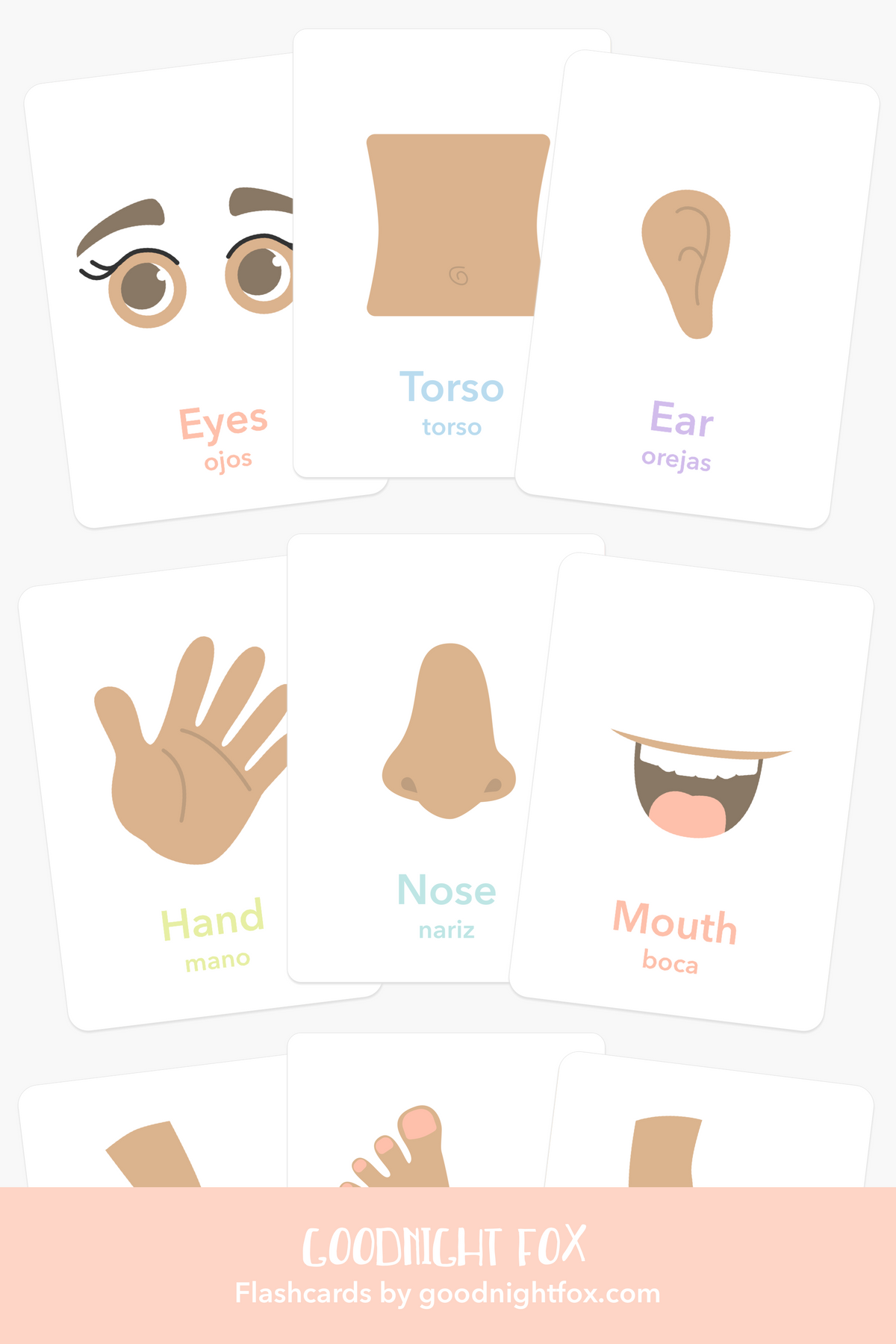 Body Parts Flashcards - The Baby Penguin