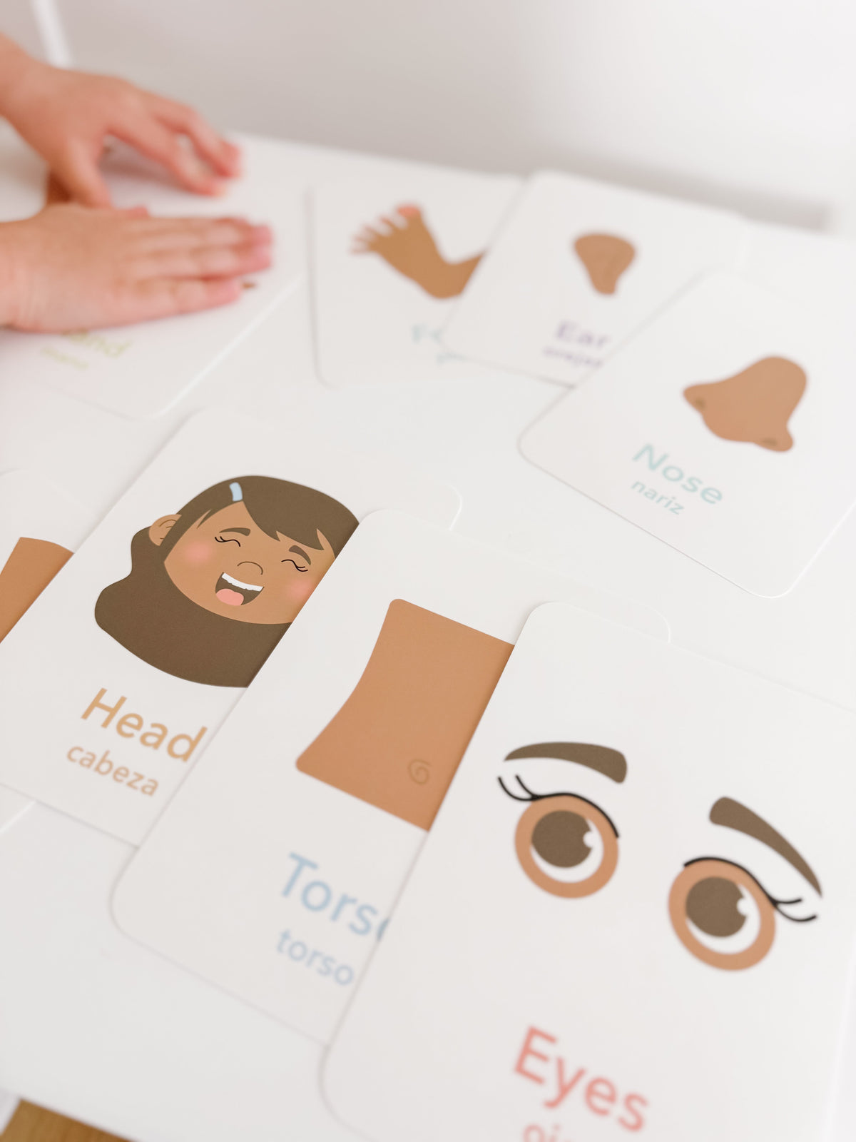 Body Parts Flashcards - The Baby Penguin