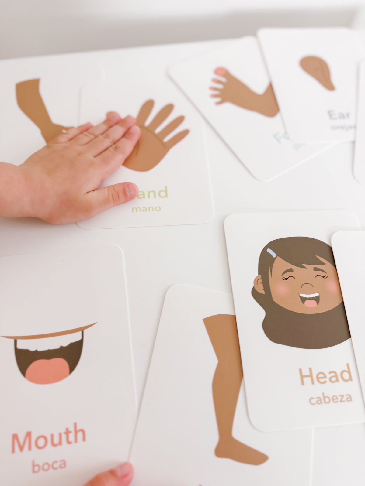 Body Parts Flashcards - The Baby Penguin