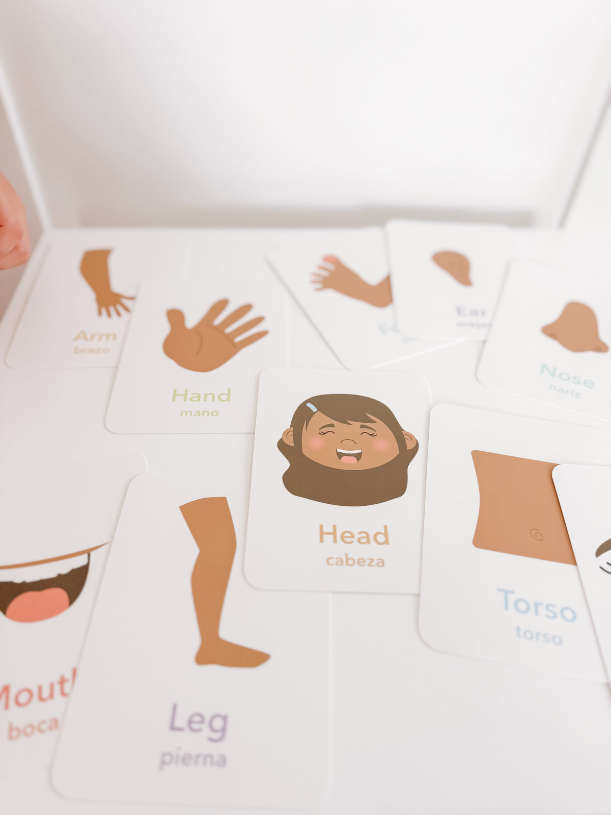 Body Parts Flashcards - The Baby Penguin