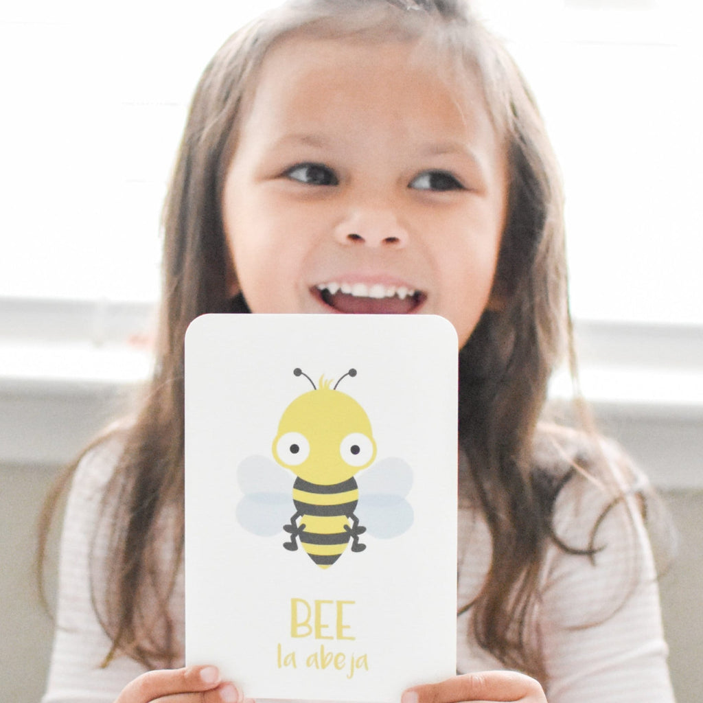 Bugs Flashcards - The Baby Penguin
