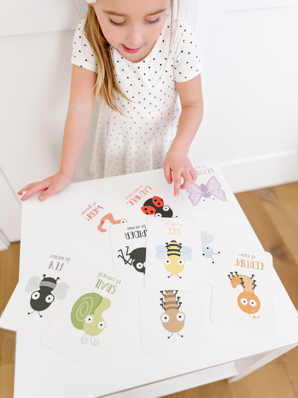 Bugs Flashcards - The Baby Penguin