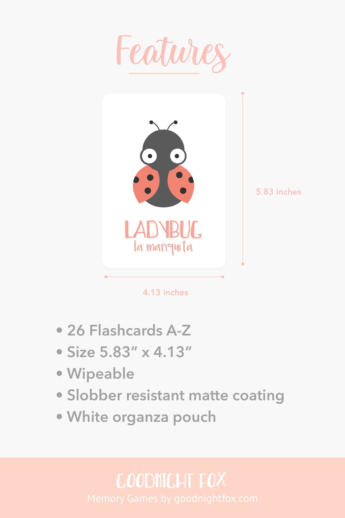 Bugs Flashcards - The Baby Penguin