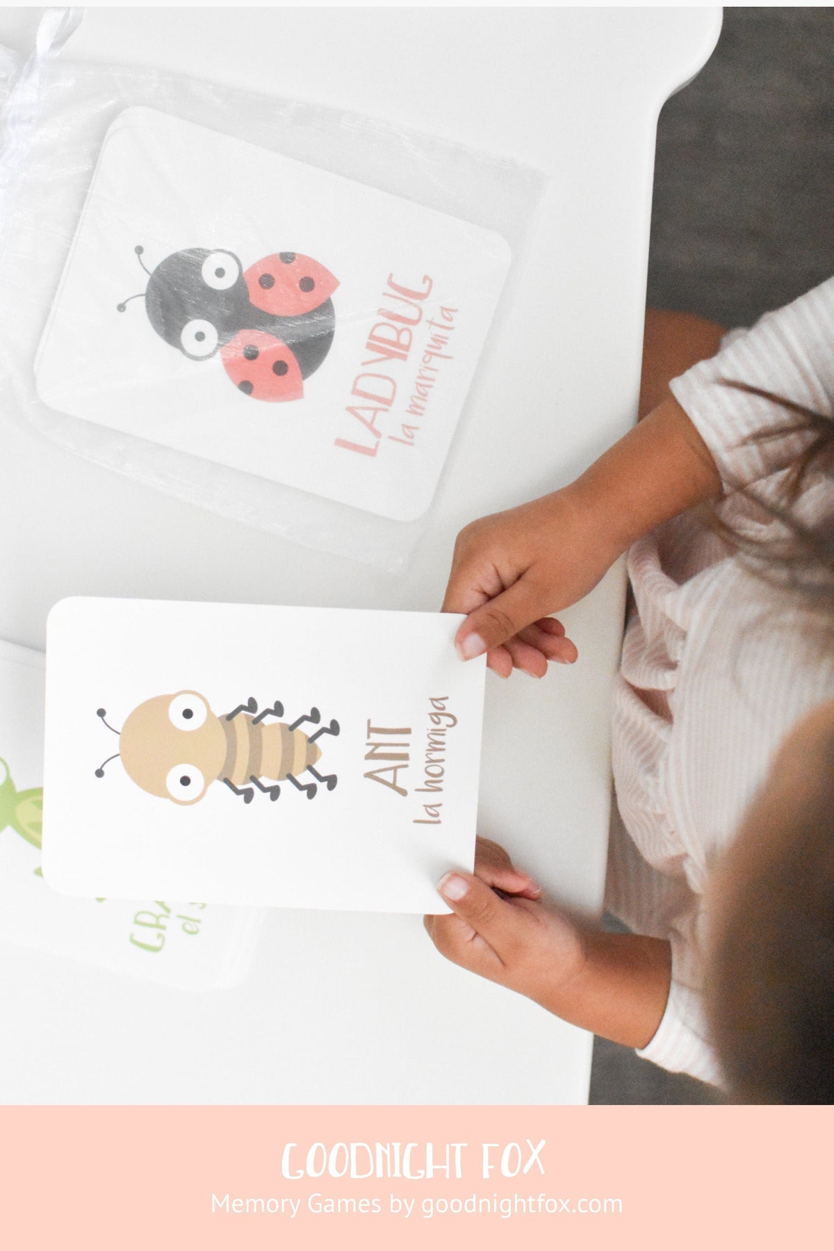 Bugs Flashcards - The Baby Penguin