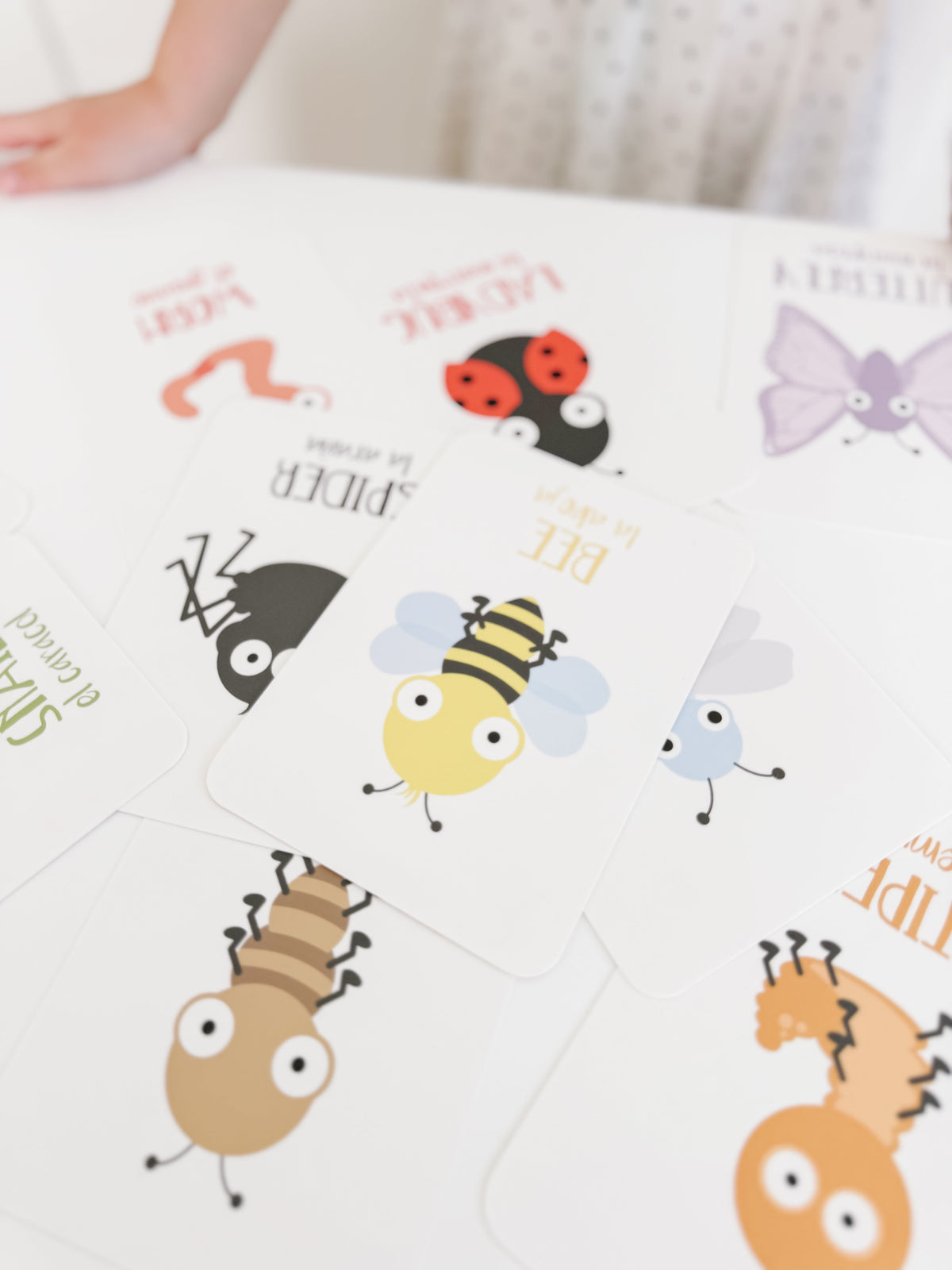Bugs Flashcards - The Baby Penguin