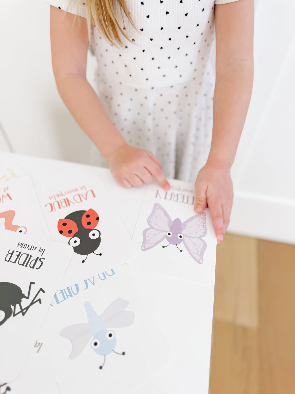 Bugs Flashcards - The Baby Penguin