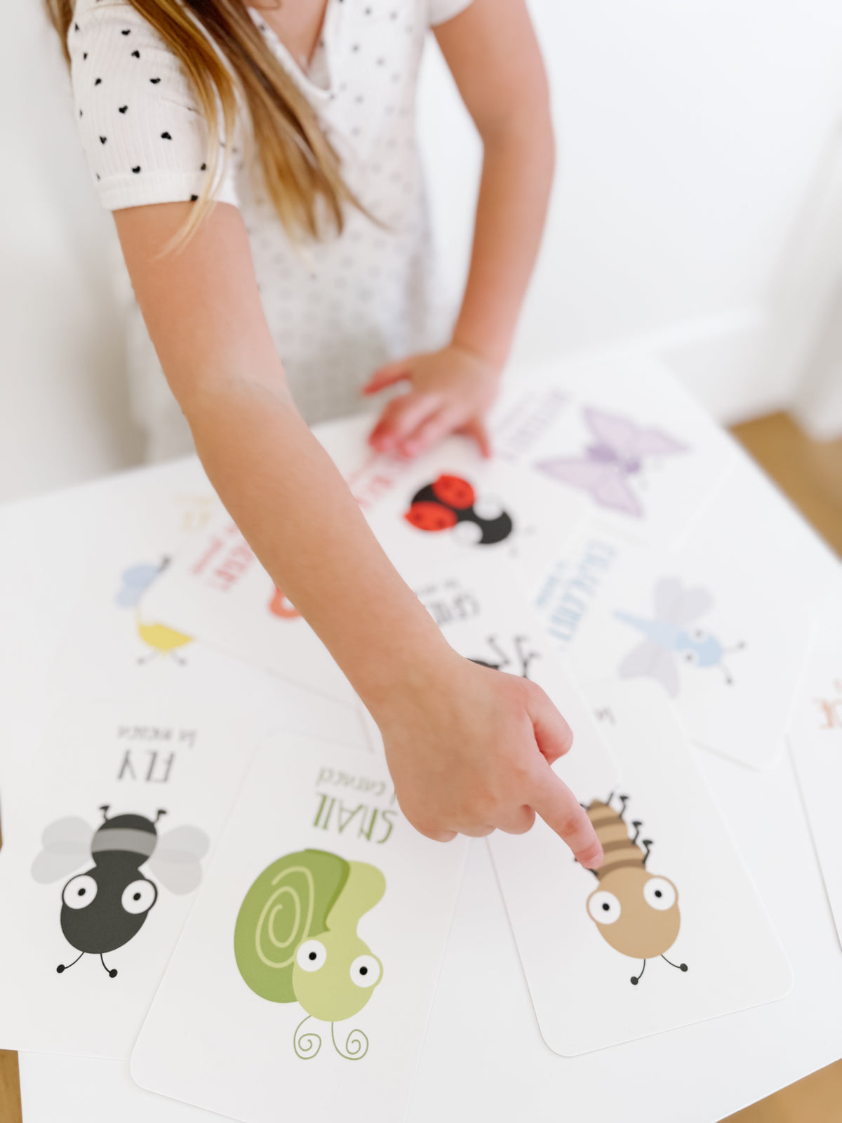 Bugs Flashcards - The Baby Penguin