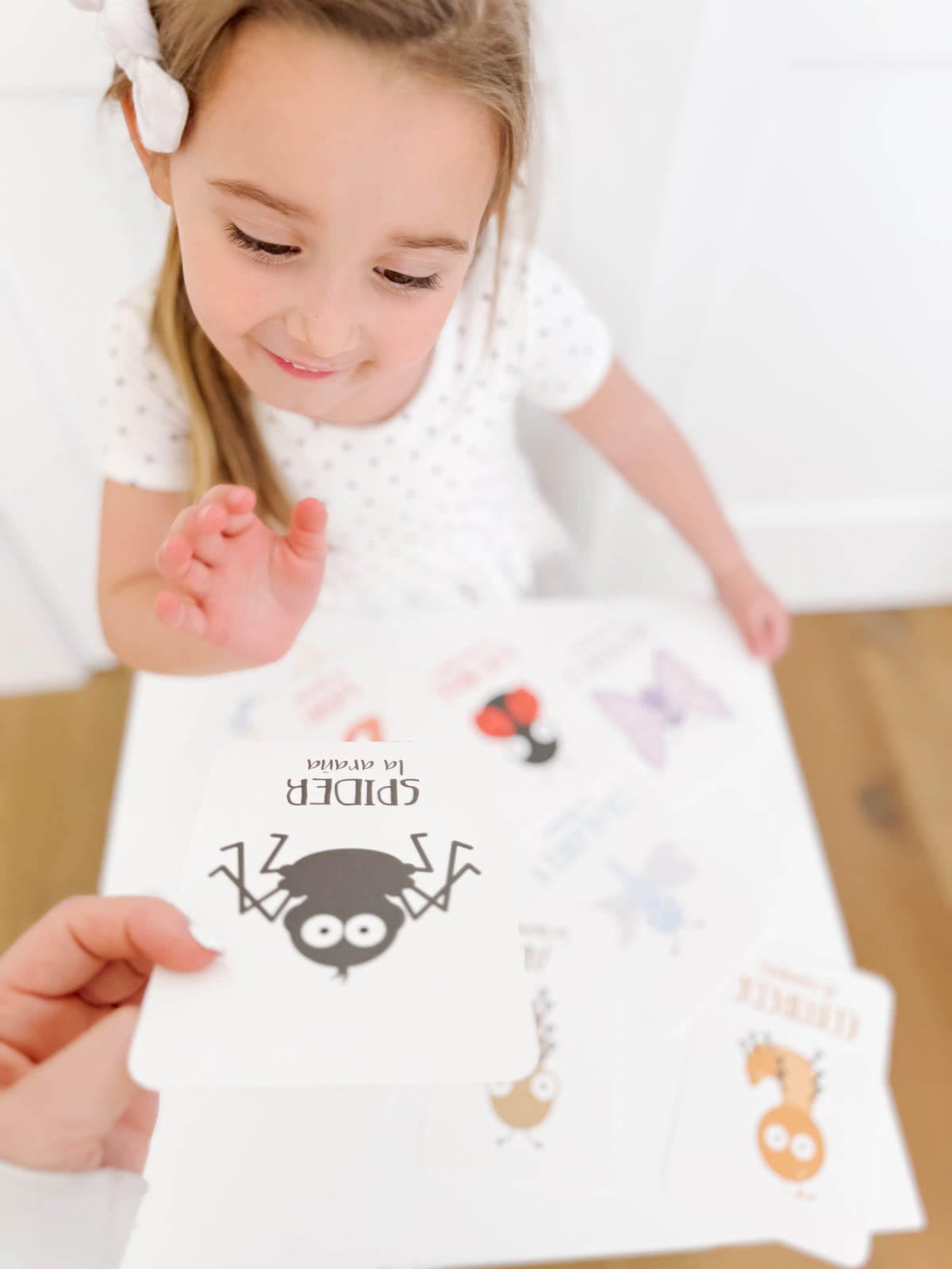 Bugs Flashcards - The Baby Penguin