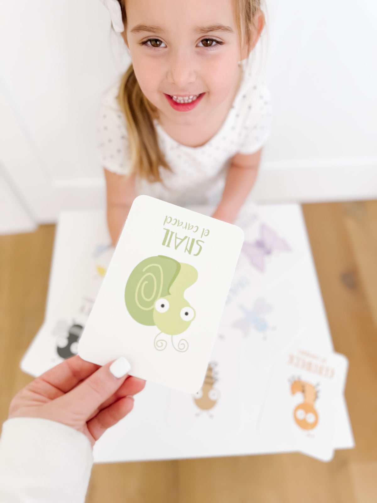 Bugs Flashcards - The Baby Penguin